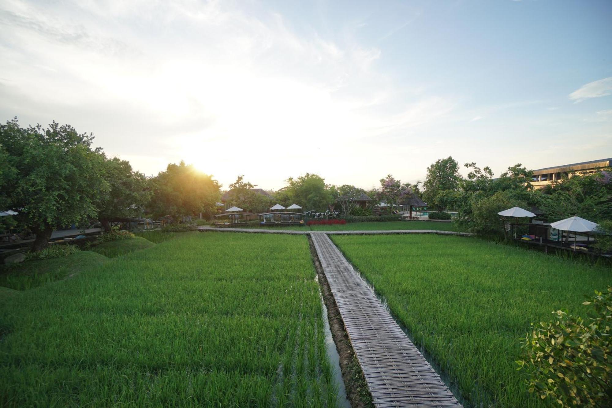 Tongna Cottage Natural Resort Chiang Mai Ngoại thất bức ảnh
