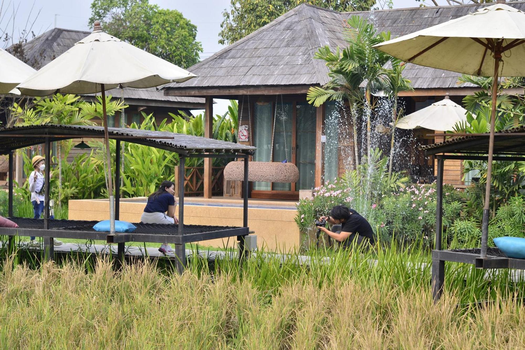 Tongna Cottage Natural Resort Chiang Mai Ngoại thất bức ảnh