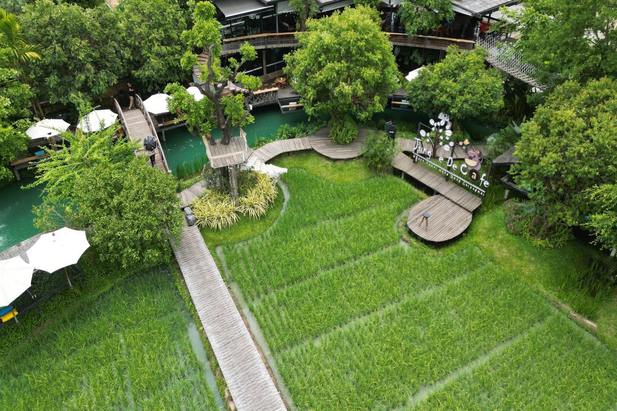 Tongna Cottage Natural Resort Chiang Mai Ngoại thất bức ảnh