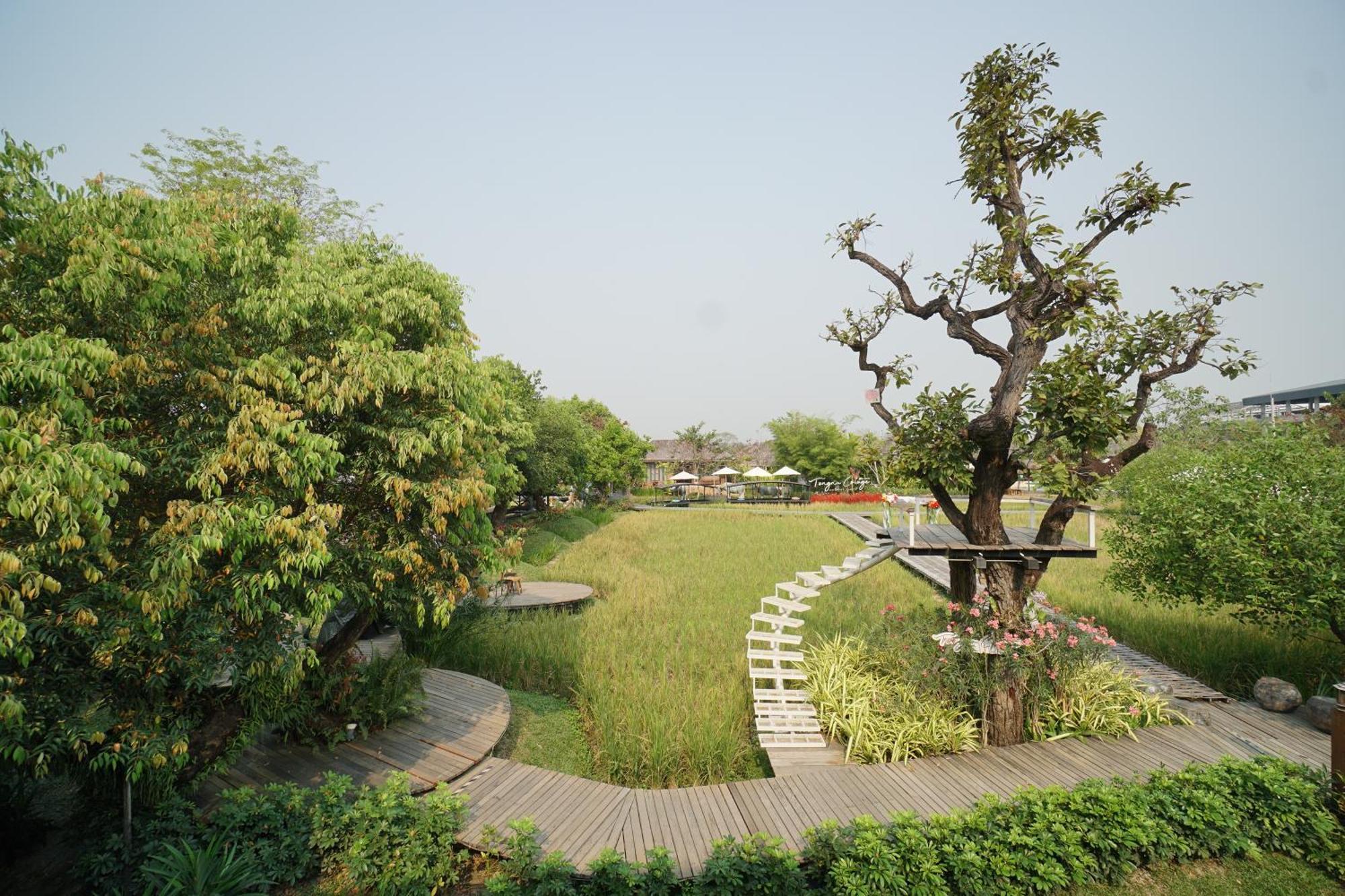 Tongna Cottage Natural Resort Chiang Mai Ngoại thất bức ảnh